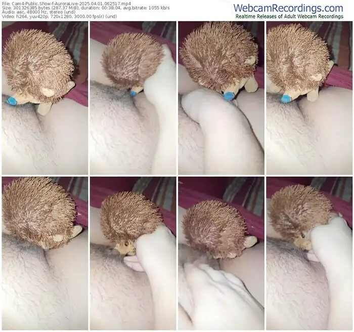 cam4-auroralive-04-01-2025-06-25-17