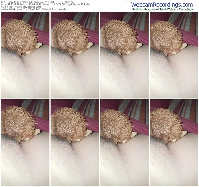 cam4-auroralive-04-01-2025-07-21-00