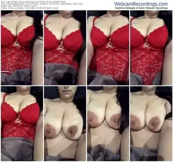 cam4-brunedusud-04-01-2025-20-32-45