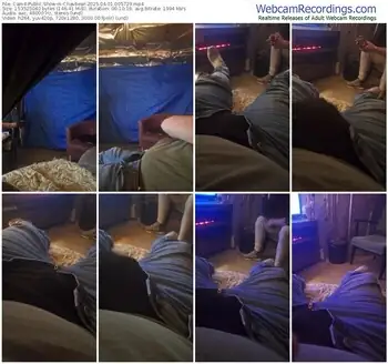 cam4-chavbear-04-01-2025-00-57-29