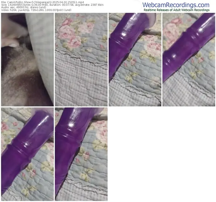 cam4-chilepareja22-04-02-2025-15-05-11