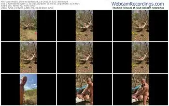 cam4-darksecret_lar-04-02-2025-11-40-59