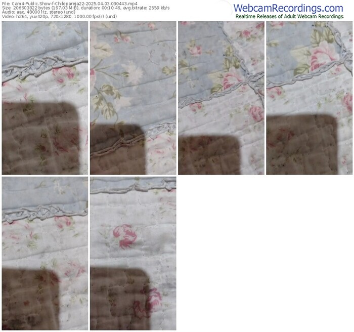 cam4-chilepareja22-04-03-2025-03-04-43