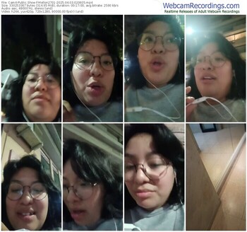 cam4-mellon2701-04-03-2025-02-06-05