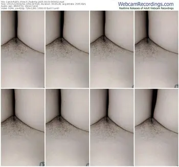 cam4-_fadinha-04-03-2025-09-36-52