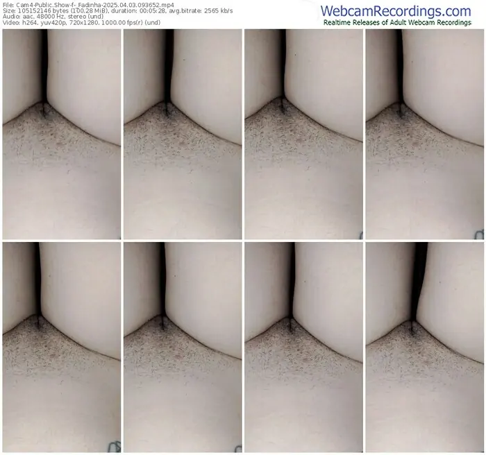 cam4-_fadinha-04-03-2025-09-36-52