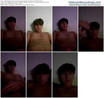 cam4-aanonymousboy-04-04-2025-00-14-33
