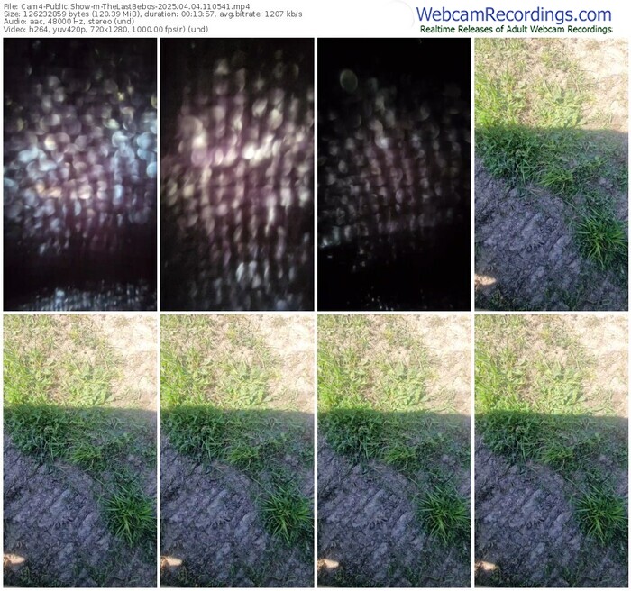 cam4-thelastbebos-04-04-2025-11-05-41