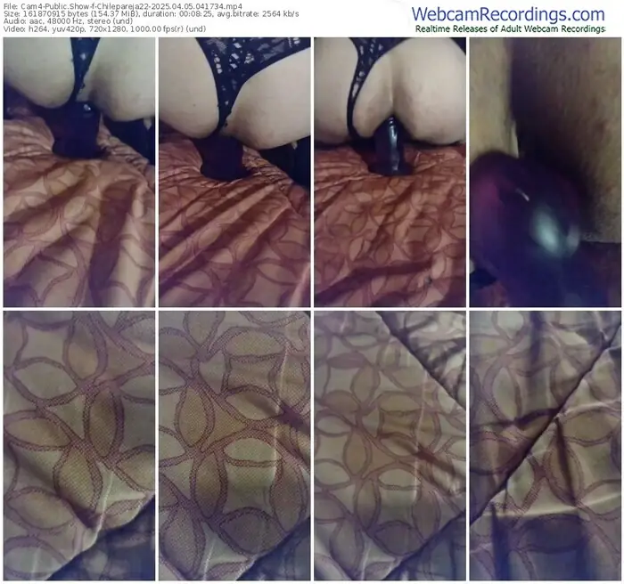 cam4-chilepareja22-04-05-2025-04-17-34