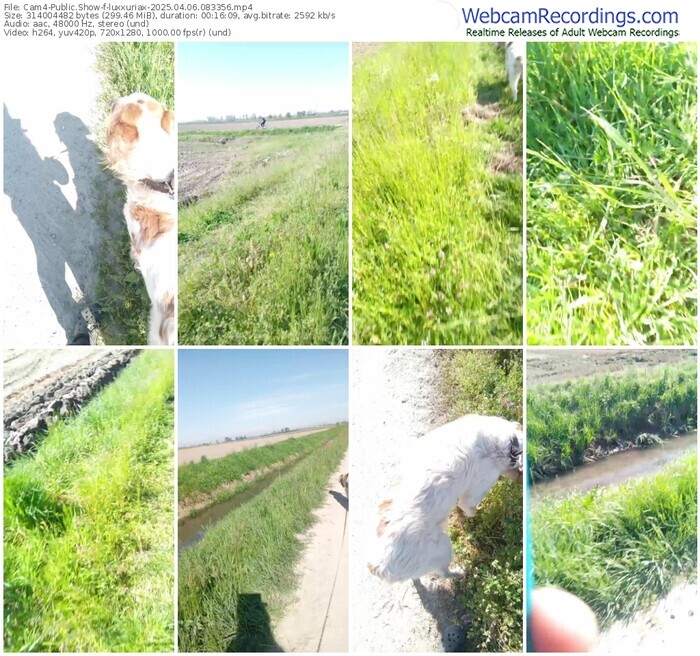 cam4-luxxuriax-04-06-2025-08-33-56