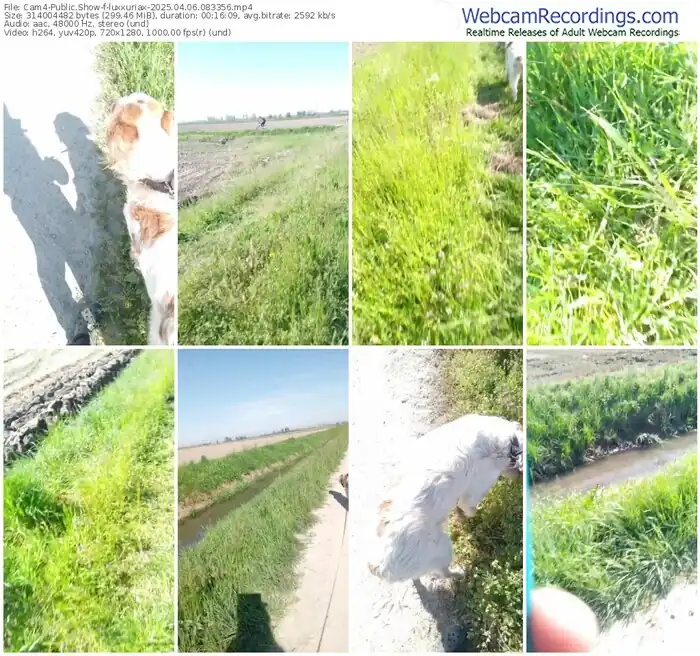 cam4-luxxuriax-04-06-2025-08-33-56