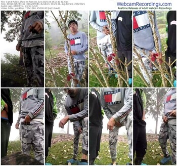 cam4-remote_live-04-06-2025-21-41-31