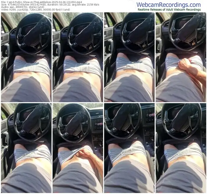 cam4-thelastbebos-04-06-2025-13-16-50