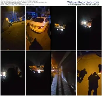 cam4-pollen_07-04-06-2025-21-06-11