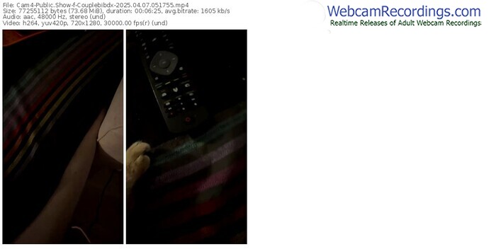 cam4-couplebibdx-04-07-2025-05-17-55