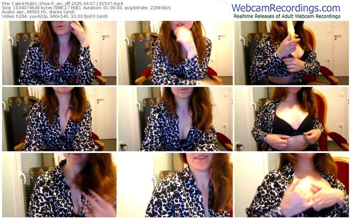 cam4-_exi_off-04-07-2025-19-15-47