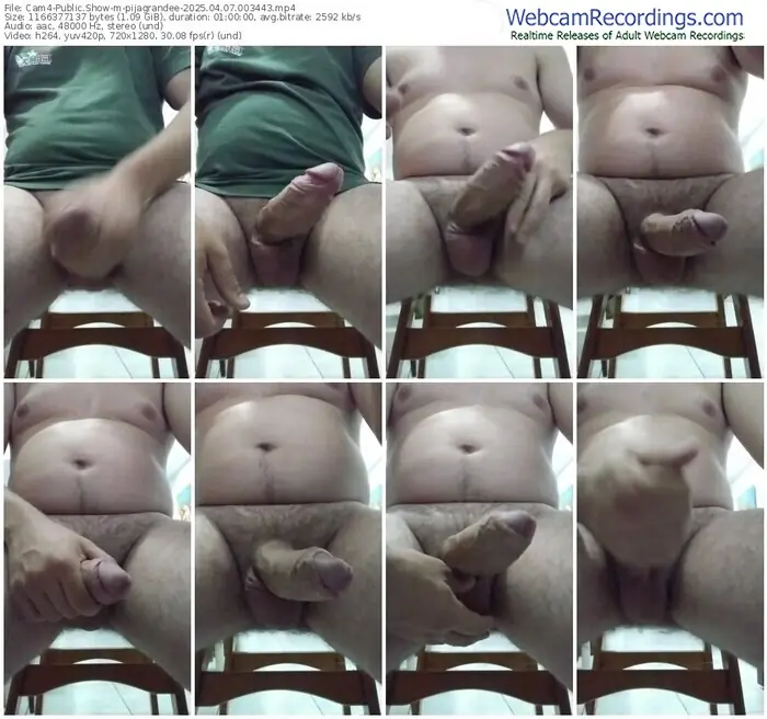 cam4-pijagrandee-04-07-2025-00-34-43