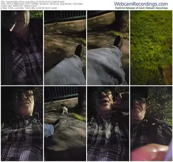 cam4-pollen_07-04-07-2025-19-36-18