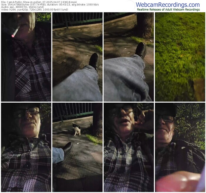 cam4-pollen_07-04-07-2025-19-36-18