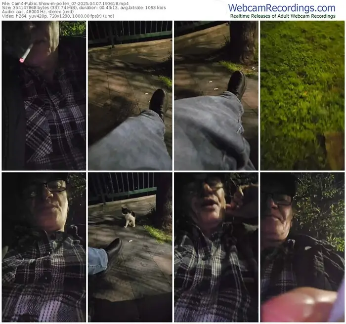 cam4-pollen_07-04-07-2025-19-36-18