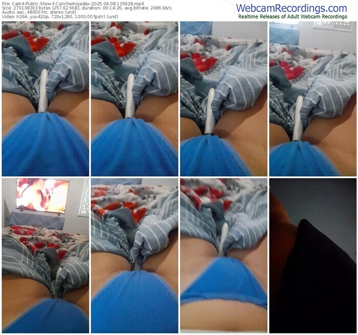 cam4-conchamojadax-04-08-2025-13-56-28