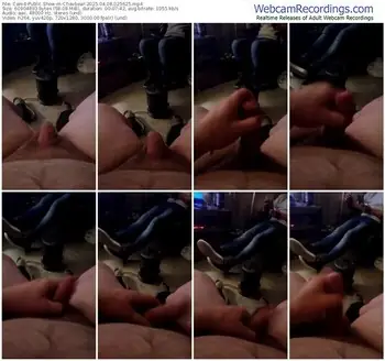 cam4-chavbear-04-08-2025-02-56-25