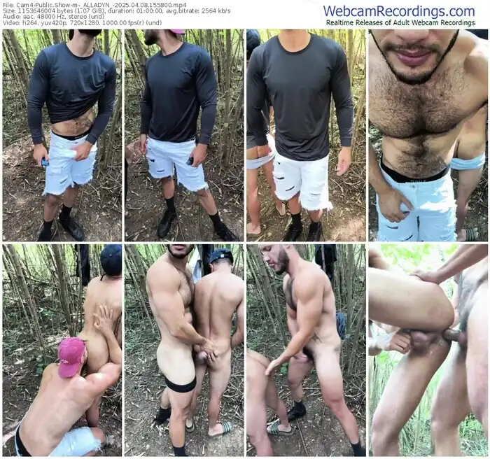 cam4-_alladyn_-04-08-2025-15-58-00