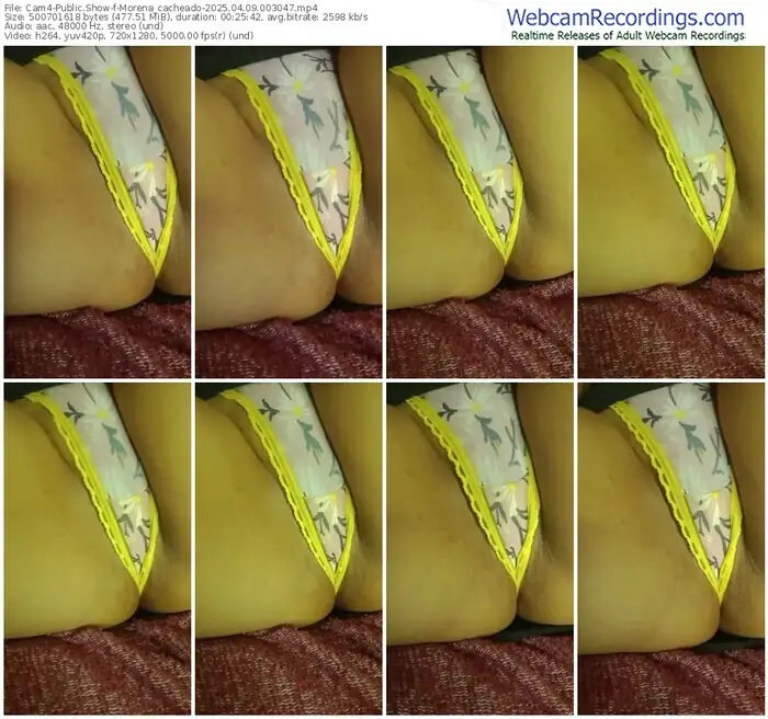 cam4-morena_cacheado-04-09-2025-00-30-47