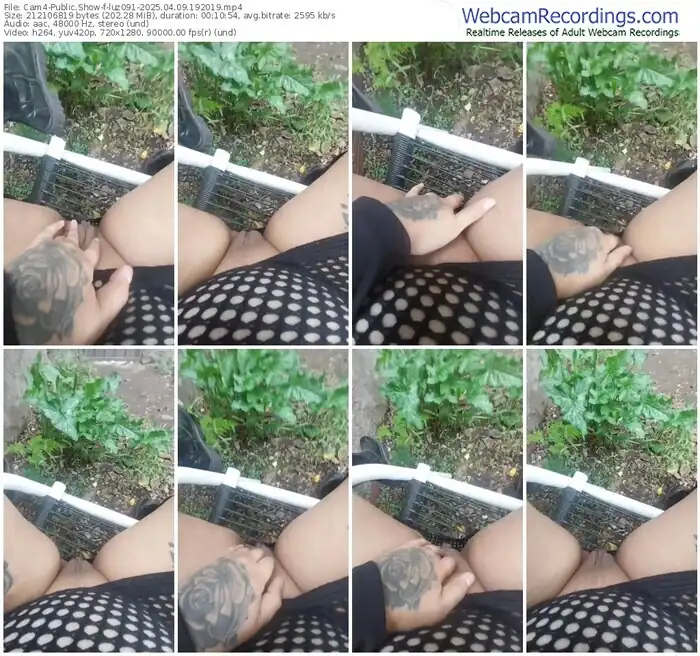 cam4-luz091-04-09-2025-19-20-19