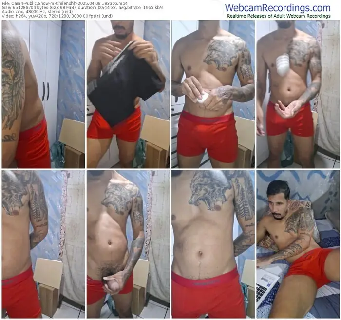 cam4-chilenohh-04-09-2025-19-33-06