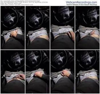 cam4-thelastbebos-04-09-2025-21-51-26