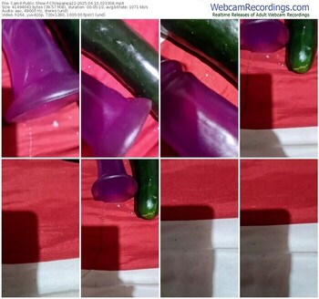 cam4-chilepareja22-04-10-2025-03-33-08