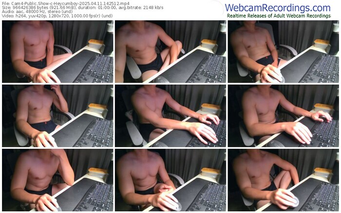 cam4-heycumboy-04-11-2025-14-25-12