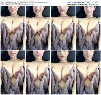 cam4-brunedusud-04-11-2025-12-04-57