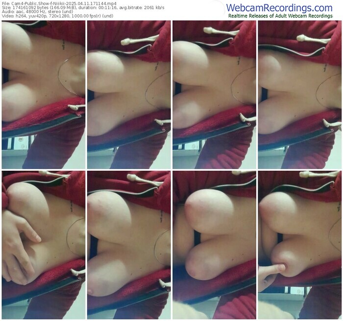 cam4-niiikii-04-11-2025-17-11-44
