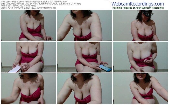 cam4-passionedelsud-04-11-2025-06-45-00