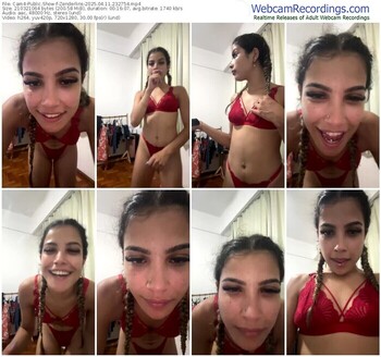 cam4-zenderlins-04-11-2025-23-27-54