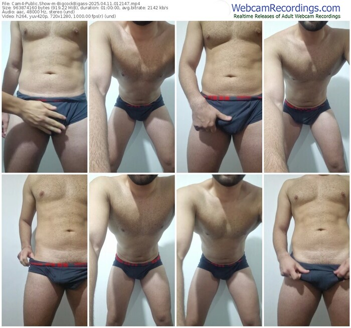 cam4-bigcockbigass-04-11-2025-01-21-47