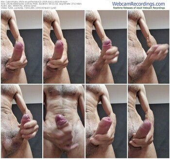 cam4-perfectdick21-04-11-2025-05-21-09