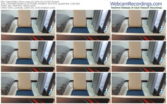 cam4-aqu_01-04-12-2025-03-17-26