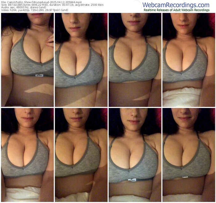 cam4-brunedusud-04-12-2025-20-58-44