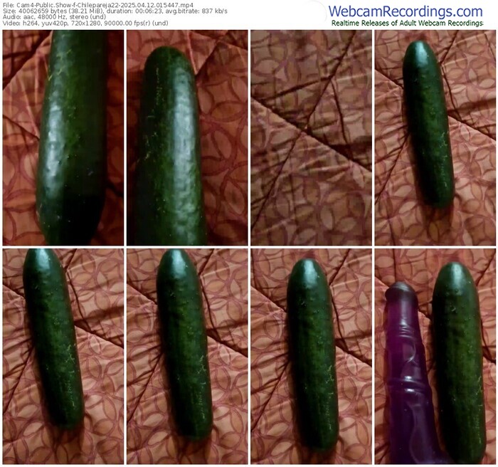 cam4-chilepareja22-04-12-2025-01-54-47