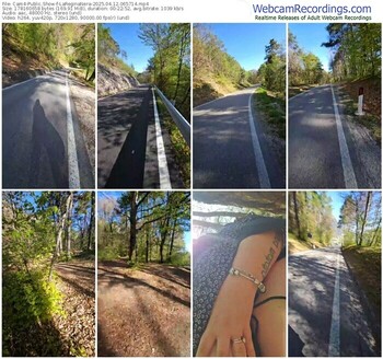 cam4-lareginanera-04-12-2025-06-57-14