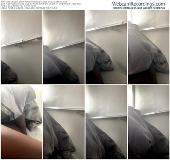 cam4-papillonsexy63-04-12-2025-12-49-45