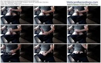 cam4-fenicerossa-04-12-2025-01-08-24