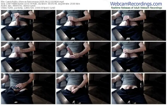 cam4-fenicerossa-04-12-2025-01-08-24