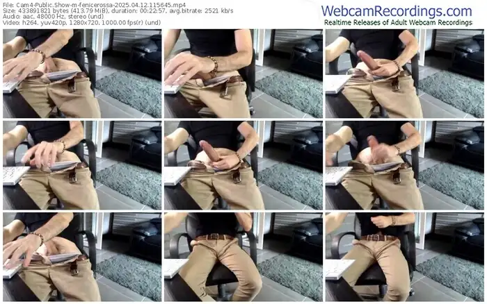 cam4-fenicerossa-04-12-2025-11-56-45