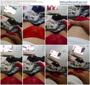 cam4-conchamojadax-04-13-2025-03-01-44