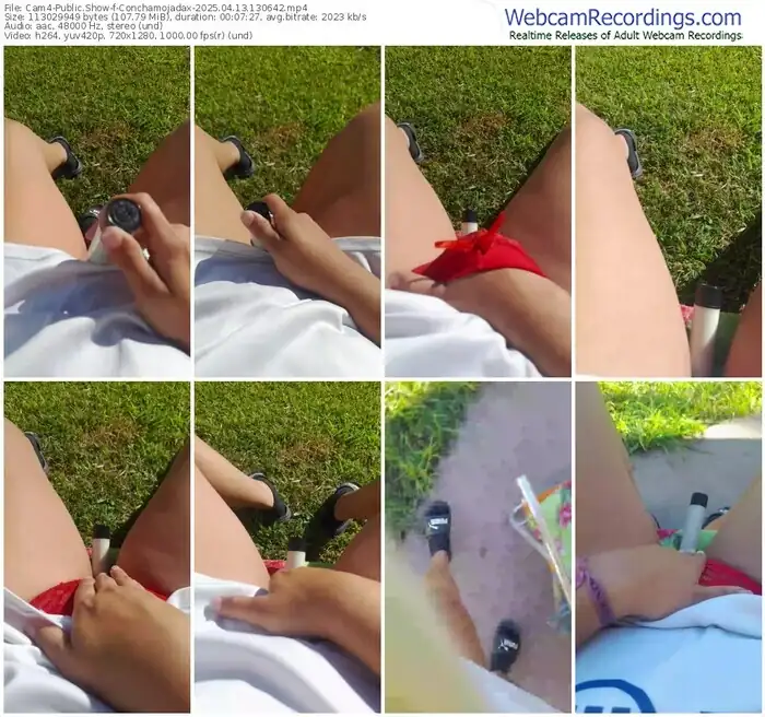 cam4-conchamojadax-04-13-2025-13-06-42