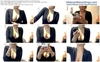 cam4-javierapalacios-04-13-2025-05-30-32